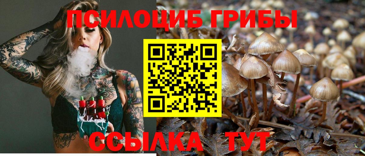 Галлюциногенные грибы GOLDEN TEACHER Будённовск