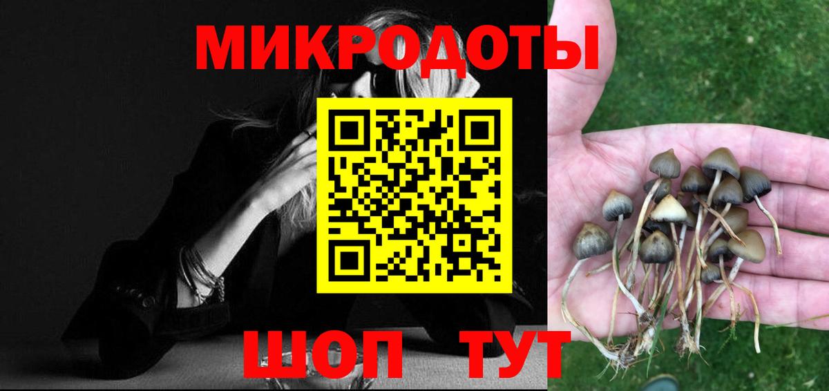 Галлюциногенные грибы ЛСД Будённовск