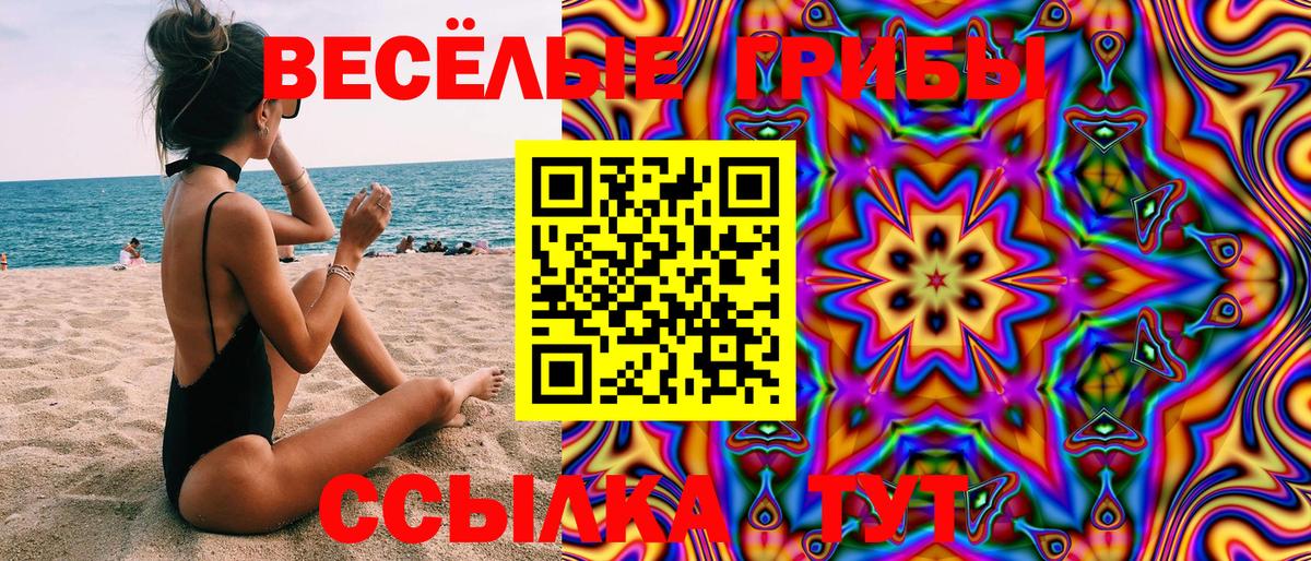 Галлюциногенные грибы GOLDEN TEACHER  где найти наркотики  Будённовск  Галлюциногенные грибы MAGIC MUSHROOMS 